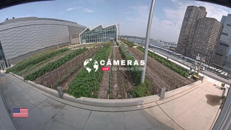 Javits Center Green Roof, NY