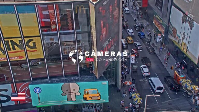 Times Square Billbords Live WebCam, 1560 Broadway, New York.