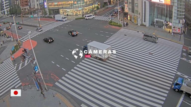 Akihabara Cam, Tokyo