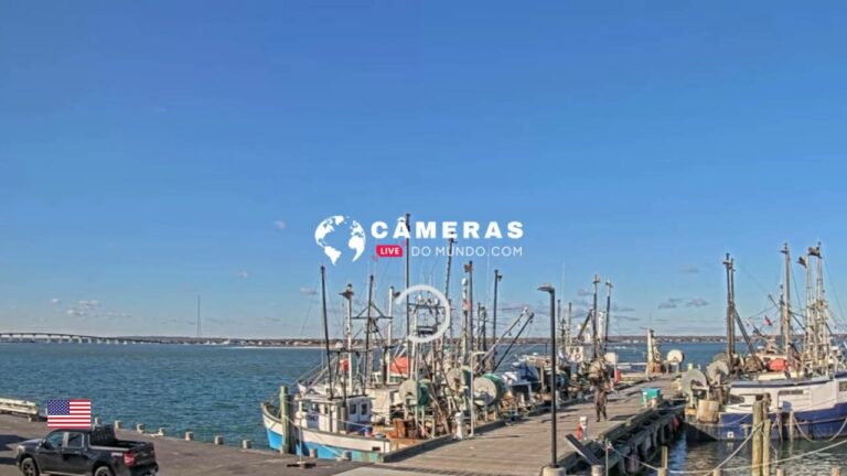 Live Webcam Shinnecock Fishing Dock, Hampton Bays, NY