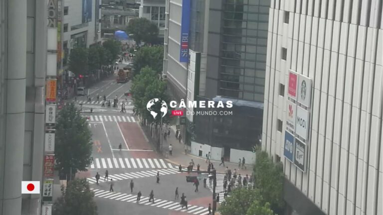 Live Shibuya Koen-Dori Shopping Street Webcam, Tokyo, Japan