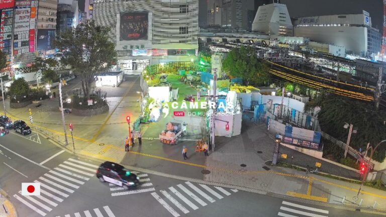 Live Webcam Shinjuku Station East Exit Cross and 3D Cat in Tokyo, Japan.