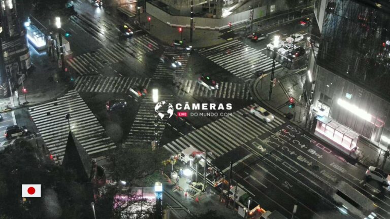 Live Webcam Sukiyabashi Scramble Crossing, Ginza, Tokyo, Japan.