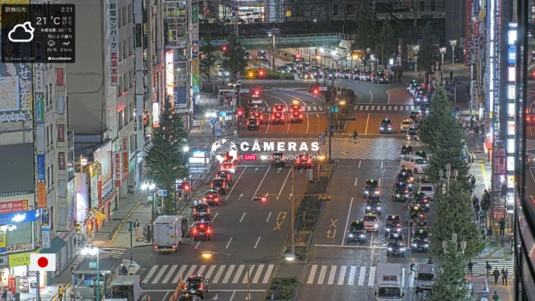 Live Webcam Shinjunku Kabukicho Crossing, Tokyo, Japan.