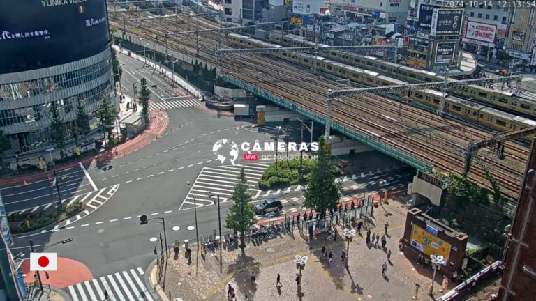 Live Webcam Seibu-Shinjuku Station, Tokyo, Japan.