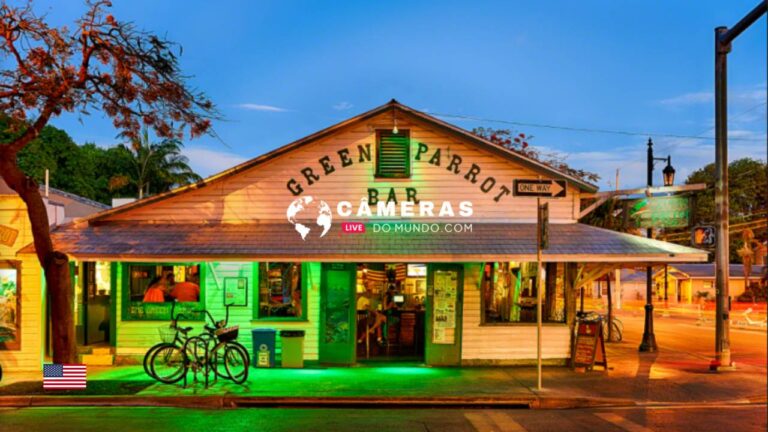 Green Parrot Bar