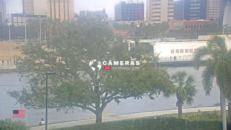 Hillsborough River, Tampa, Webcam, USA.