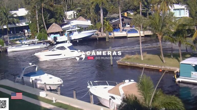 Live Webcam River Reach Island, New River, FL, USA.