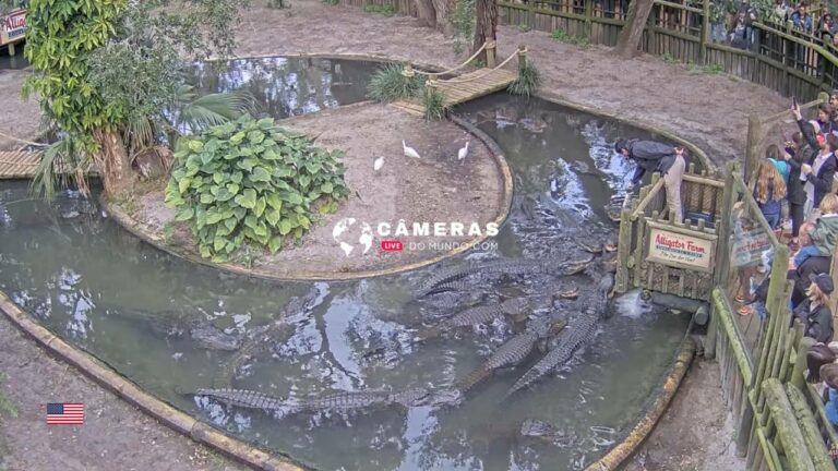 Live Webcams Alligator Farm, St. Augustine Florida, USA.