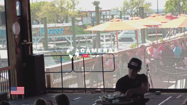 Dead Dog Saloon Stage Live Webcam, South Carolina.