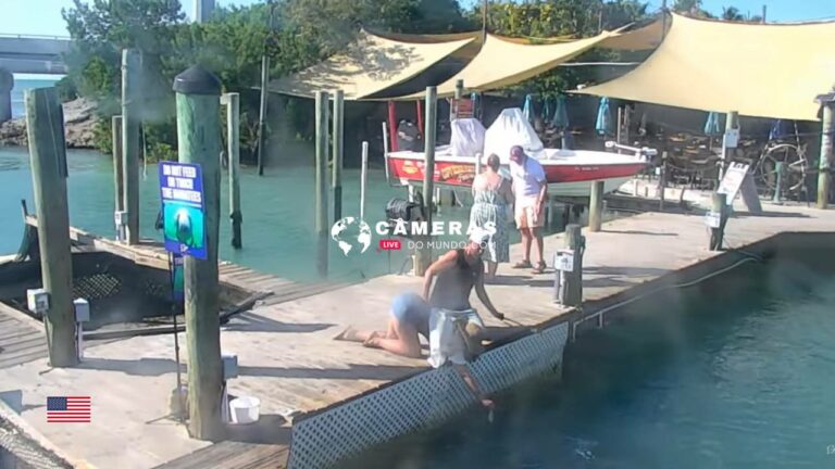 Live Robbie's Marina Webcam Stream, Islamorada, Florida.