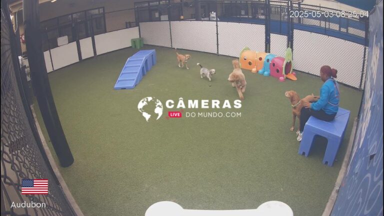 Live City Park Webcam, Jefferson, LA, USA.
