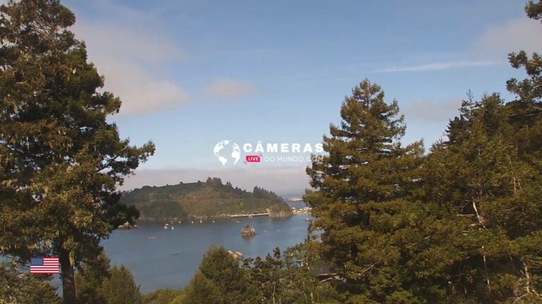 Live Webcam Trinidad Harbor, California, USA.