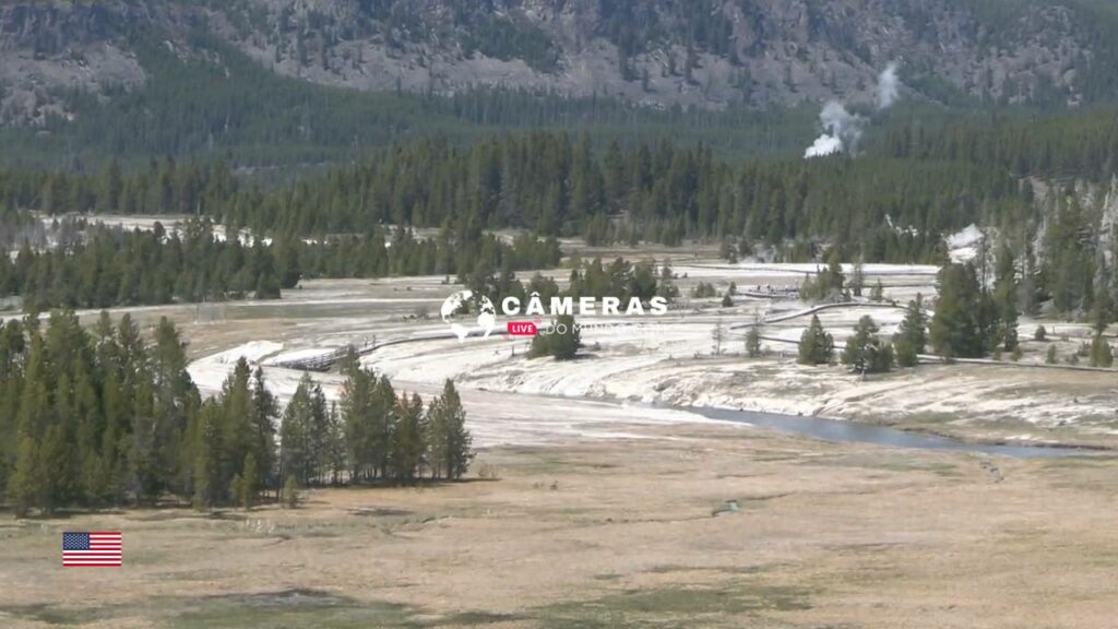 Upper Geyser Basin Yellowstone National Park Webcams, Wyoming, USA.