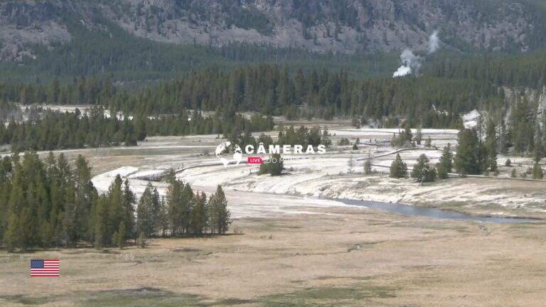 Upper Geyser Basin Yellowstone National Park Webcams, Wyoming, USA.