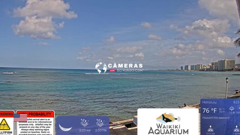 Live Surf Webcam Waikiki Aquarium, Honolulu, HI, USA.