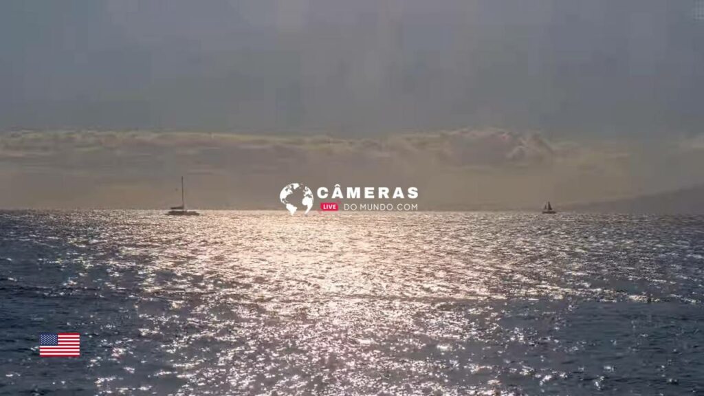 Live Marine Sanctuary, Maui Whale, Hawaii Webcams.