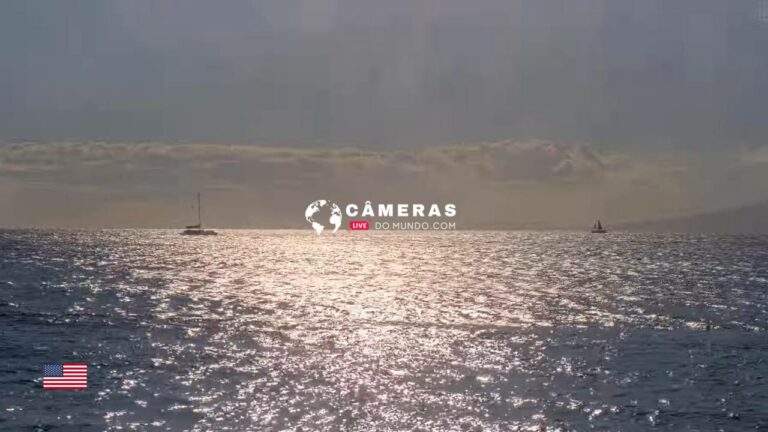 Live Marine Sanctuary, Maui Whale, Hawaii Webcams.